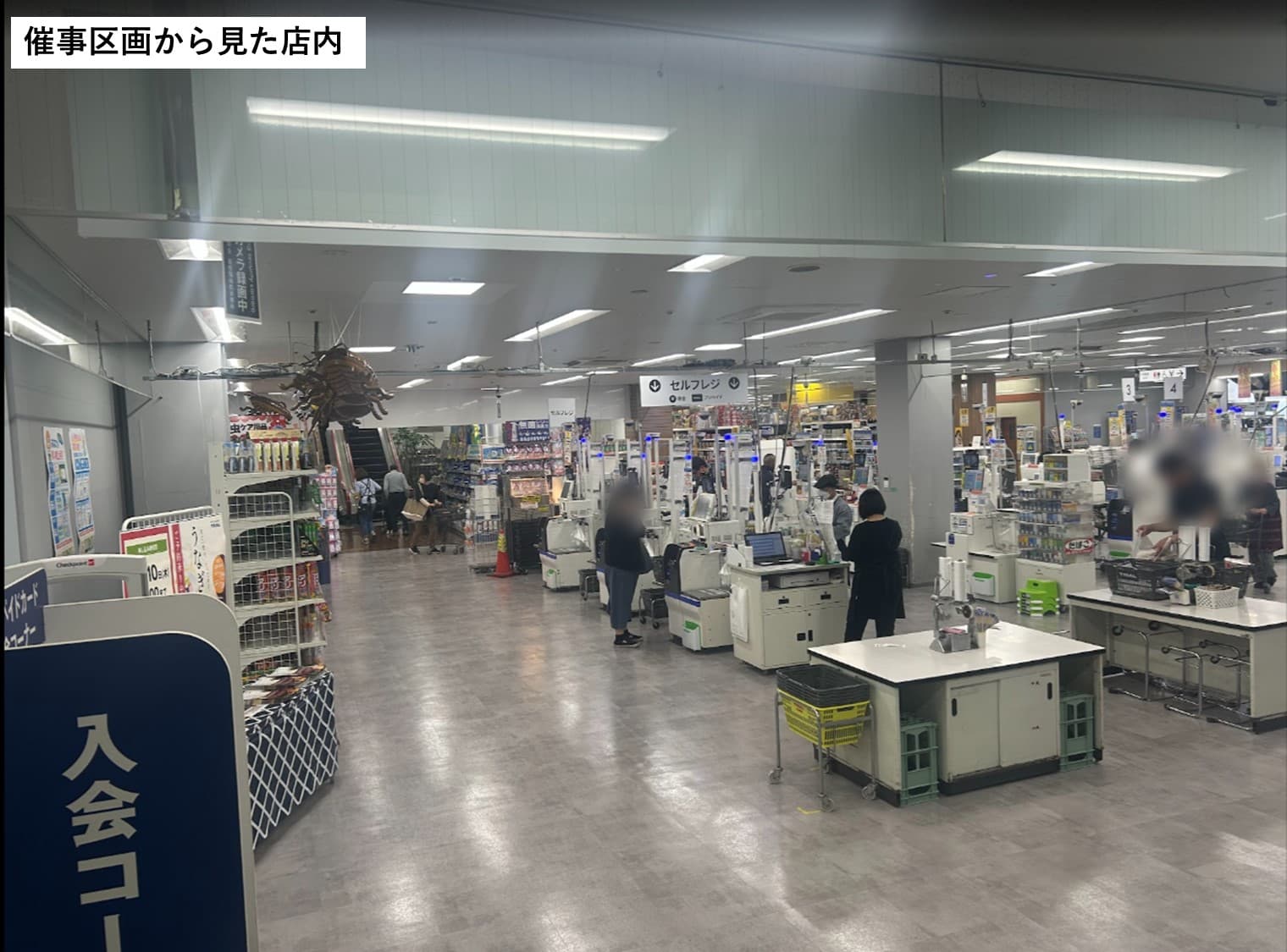 催事区画➡店内